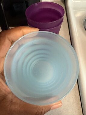 Set of 4 Frosted Plastic Cups - 2-Light Blue & 2-Purple: Tupperware